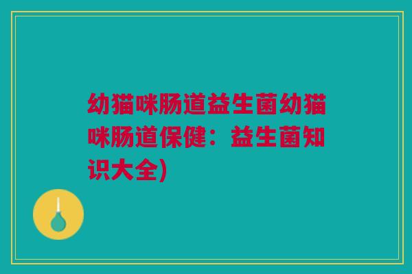 幼猫咪肠道益生菌幼猫咪肠道保健:益生菌知识大全) 幼猫咪肠道益生菌幼猫咪肠道保健:益生菌知识大全)