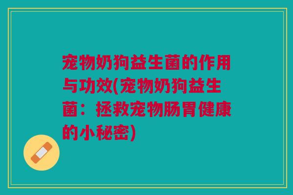 宠物奶狗益生菌的作用与功效(宠物奶狗益生菌：拯救宠物肠胃健康的小秘密)