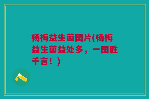 杨梅益生菌图片(杨梅益生菌益处多,一图胜千言!)