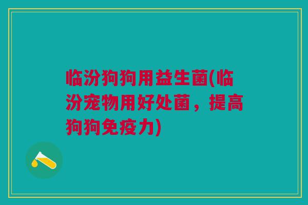 临汾狗狗用益生菌(临汾宠物用好处菌,提高狗狗免疫力)