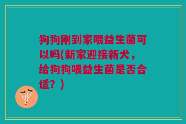 狗狗刚到家喂益生菌可以吗(新家迎接新犬，给狗狗喂益生菌是否合适？)