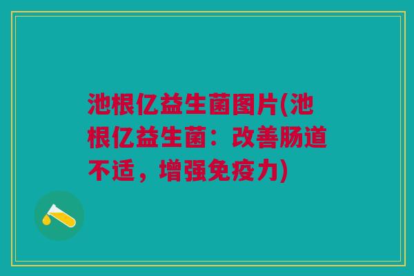 池根亿益生菌图片(池根亿益生菌:改善肠道不适,增强免疫力)