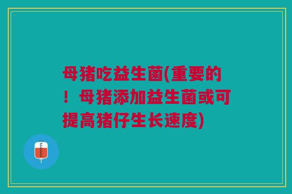 母猪吃益生菌(重要的!母猪添加益生菌或可提高猪仔生长速度) 母猪吃益生菌(重要的!母猪添加益生菌或可提高猪仔生长速度)