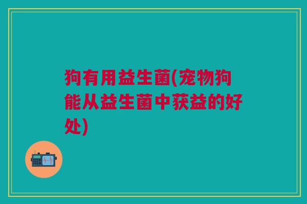 狗有用益生菌(宠物狗能从益生菌中获益的好处)