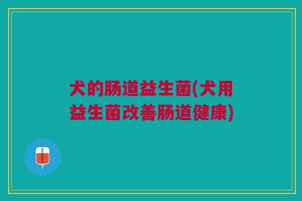 犬的肠道益生菌(犬用益生菌改善肠道健康)