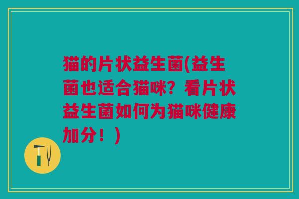 猫的片状益生菌(益生菌也适合猫咪?看片状益生菌如何为猫咪健康加分!)