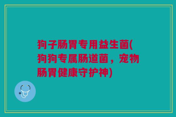 狗子肠胃专用益生菌(狗狗专属肠道菌,宠物肠胃健康守护神) 狗子肠胃专用益生菌(狗狗专属肠道菌,宠物肠胃健康守护神)