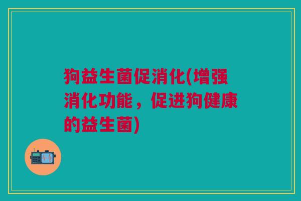 狗益生菌促消化(增强消化功能,促进狗健康的益生菌)
