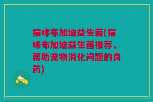 猫咪布加迪益生菌(猫咪布加迪益生菌推荐,帮助宠物消化问题的良药)