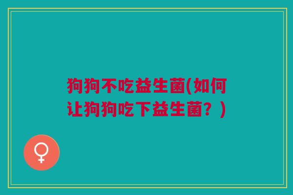 狗狗不吃益生菌(如何让狗狗吃下益生菌?)