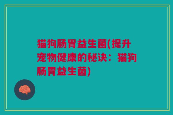 猫狗肠胃益生菌(提升宠物健康的秘诀：猫狗肠胃益生菌)