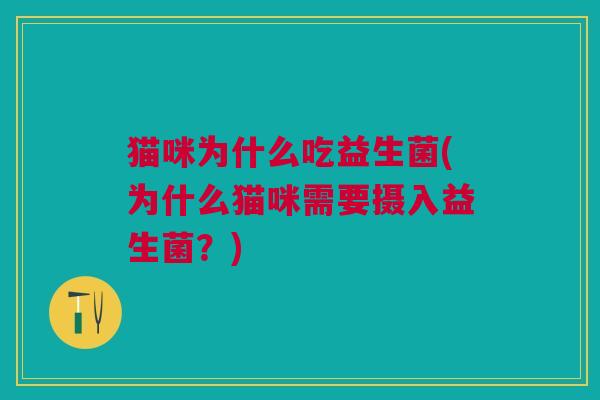 猫咪为什么吃益生菌(为什么猫咪需要摄入益生菌?)