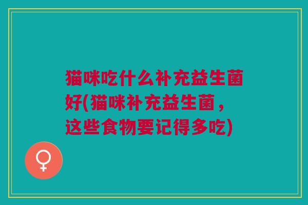 猫咪吃什么补充益生菌好(猫咪补充益生菌,这些食物要记得多吃)