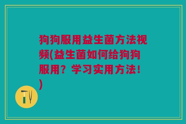 狗狗服用益生菌方法视频(益生菌如何给狗狗服用?学习实用方法!)
