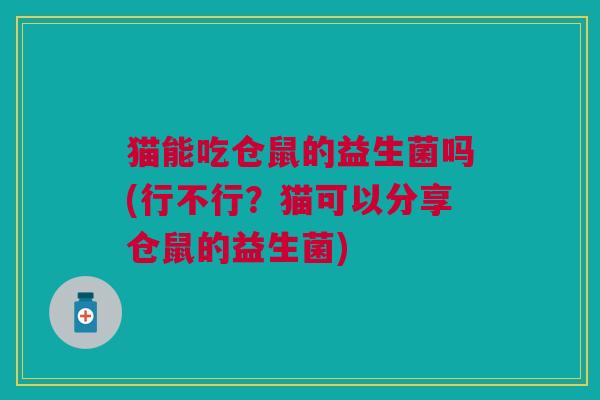 猫能吃仓鼠的益生菌吗(行不行?猫可以分享仓鼠的益生菌) 猫能吃仓鼠的益生菌吗(行不行?猫可以分享仓鼠的益生菌)