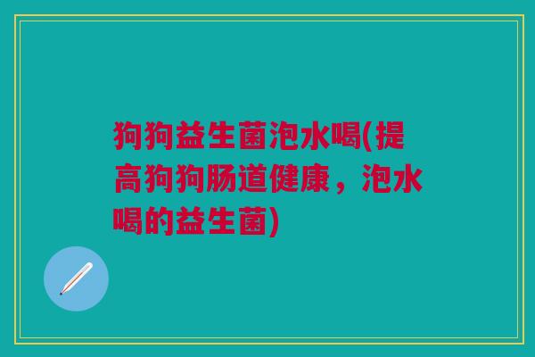 狗狗益生菌泡水喝(提高狗狗肠道健康，泡水喝的益生菌)