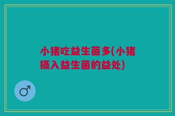 小猪吃益生菌多(小猪摄入益生菌的益处) 小猪吃益生菌多(小猪摄入益生菌的益处)