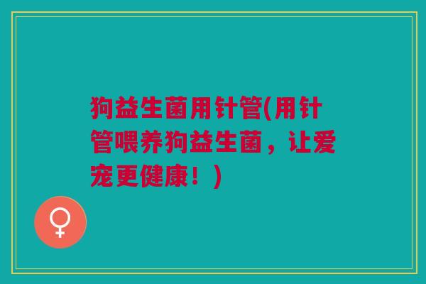 狗益生菌用针管(用针管喂养狗益生菌,让爱宠更健康!)
