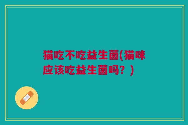 猫吃不吃益生菌(猫咪应该吃益生菌吗?)