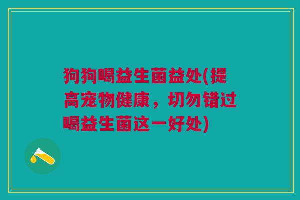 狗狗喝益生菌益处(提高宠物健康，切勿错过喝益生菌这一好处)
