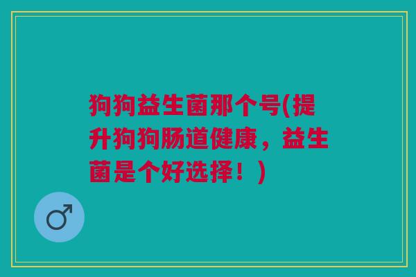 狗狗益生菌那个号(提升狗狗肠道健康,益生菌是个好选择!)