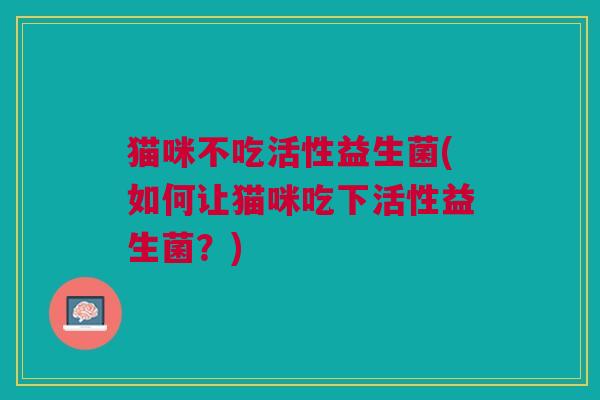 猫咪不吃活性益生菌(如何让猫咪吃下活性益生菌？)