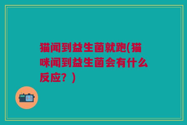 猫闻到益生菌就跑(猫咪闻到益生菌会有什么反应?) 猫闻到益生菌就跑(猫咪闻到益生菌会有什么反应?)