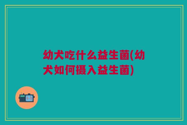 幼犬吃什么益生菌(幼犬如何摄入益生菌)
