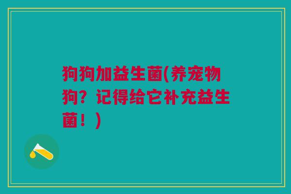 狗狗加益生菌(养宠物狗?记得给它补充益生菌!) 狗狗加益生菌(养宠物狗?记得给它补充益生菌!)
