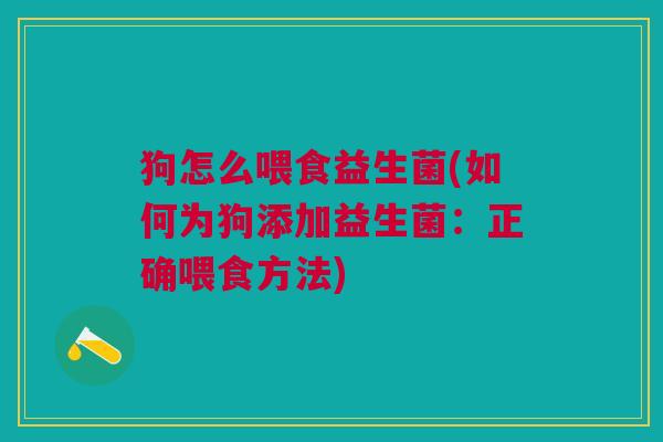 狗怎么喂食益生菌(如何为狗添加益生菌:正确喂食方法)