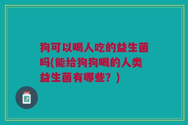 狗可以喝人吃的益生菌吗(能给狗狗喝的人类益生菌有哪些?) 狗可以喝人吃的益生菌吗(能给狗狗喝的人类益生菌有哪些?)