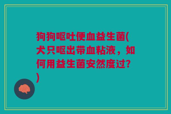 狗狗便益生菌(犬只呕出带粘液，如何用益生菌安然度过？)