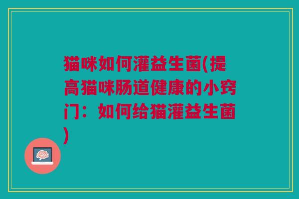 猫咪如何灌益生菌(提高猫咪肠道健康的小窍门:如何给猫灌益生菌) 猫咪如何灌益生菌(提高猫咪肠道健康的小窍门:如何给猫灌益生菌)