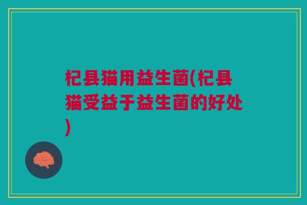 杞县猫用益生菌(杞县猫受益于益生菌的好处)