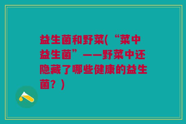 益生菌和野菜(“菜中益生菌”——野菜中还隐藏了哪些健康的益生菌?)
