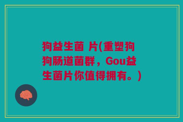 狗益生菌 片(重塑狗狗肠道菌群,Gou益生菌片你值得拥有。)