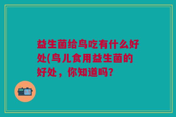 益生菌给鸟吃有什么好处(鸟儿食用益生菌的好处,你知道吗?