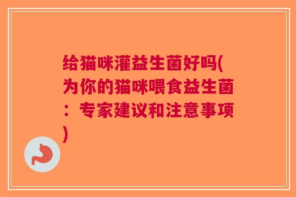 给猫咪灌益生菌好吗(为你的猫咪喂食益生菌:专家建议和注意事项)