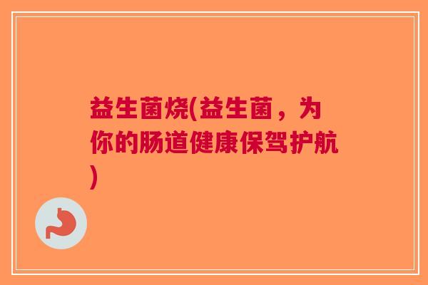 益生菌烧(益生菌，为你的肠道健康保驾护航)