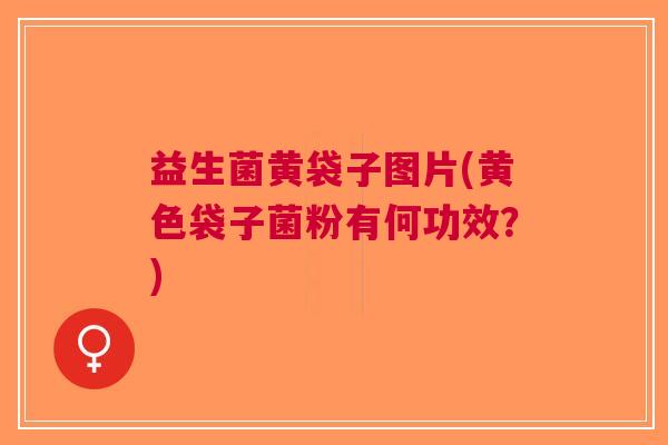 益生菌黄袋子图片(黄色袋子菌粉有何功效？)