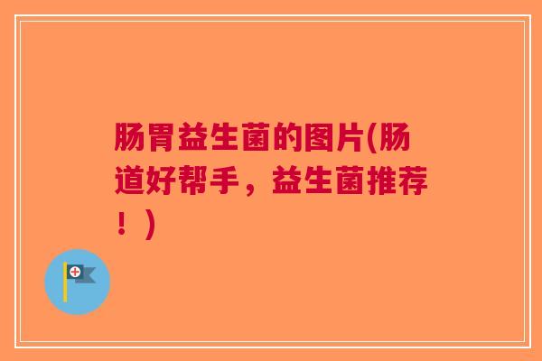 肠胃益生菌的图片(肠道好帮手,益生菌推荐!)