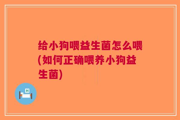 给小狗喂益生菌怎么喂(如何正确喂养小狗益生菌)
