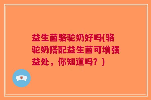 益生菌骆驼奶好吗(骆驼奶搭配益生菌可增强益处,你知道吗?)