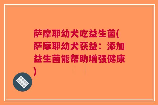 萨摩耶幼犬吃益生菌(萨摩耶幼犬获益:添加益生菌能帮助增强健康)