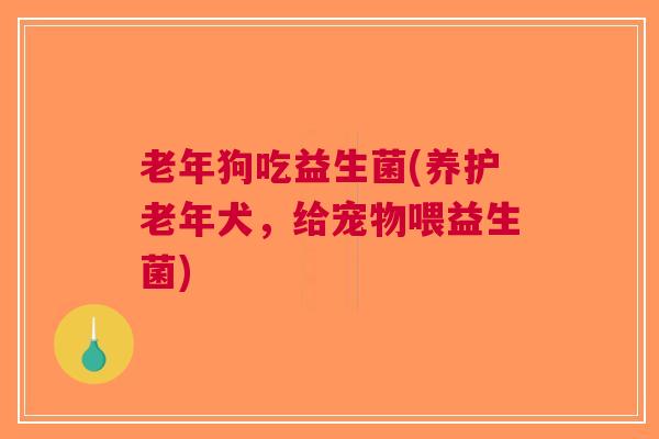 老年狗吃益生菌(养护老年犬,给宠物喂益生菌)