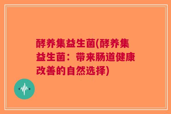 酵养集益生菌(酵养集益生菌:带来肠道健康改善的自然选择)