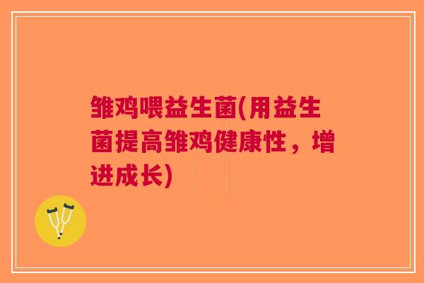 雏鸡喂益生菌(用益生菌提高雏鸡健康性,增进成长)