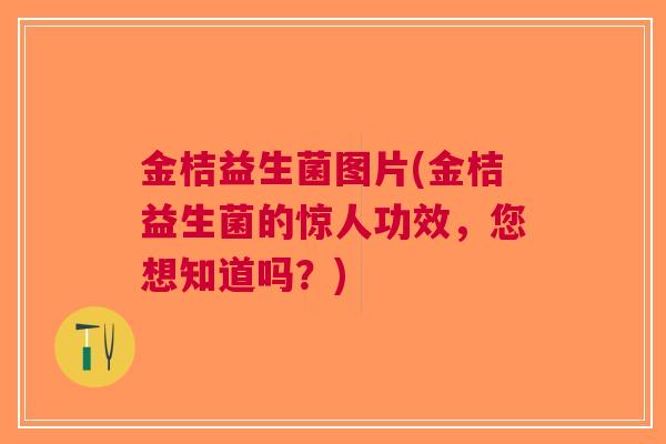 金桔益生菌图片(金桔益生菌的惊人功效，您想知道吗？)