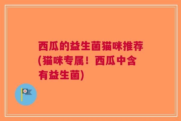 西瓜的益生菌猫咪推荐(猫咪专属！西瓜中含有益生菌)