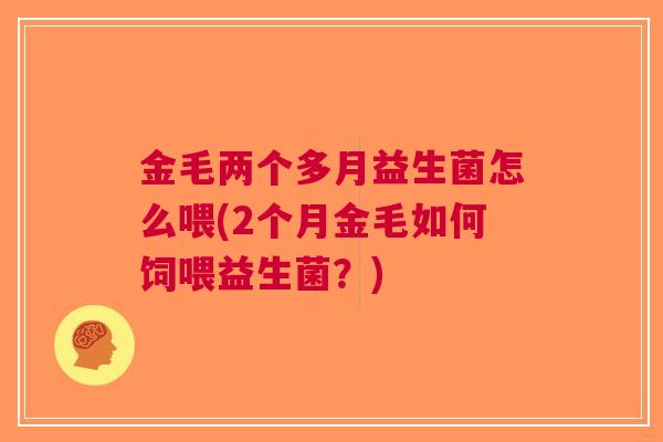 金毛两个多月益生菌怎么喂(2个月金毛如何饲喂益生菌？)